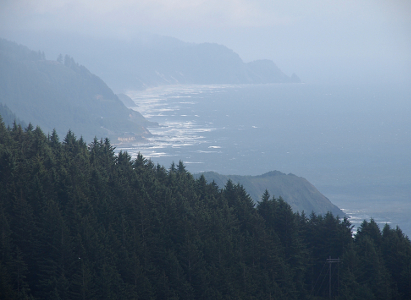 [Behind an evergreen laden hillside in the foreground is a misty bay with two pieces of land sticking out from the mainland and between them is white-capped water.]